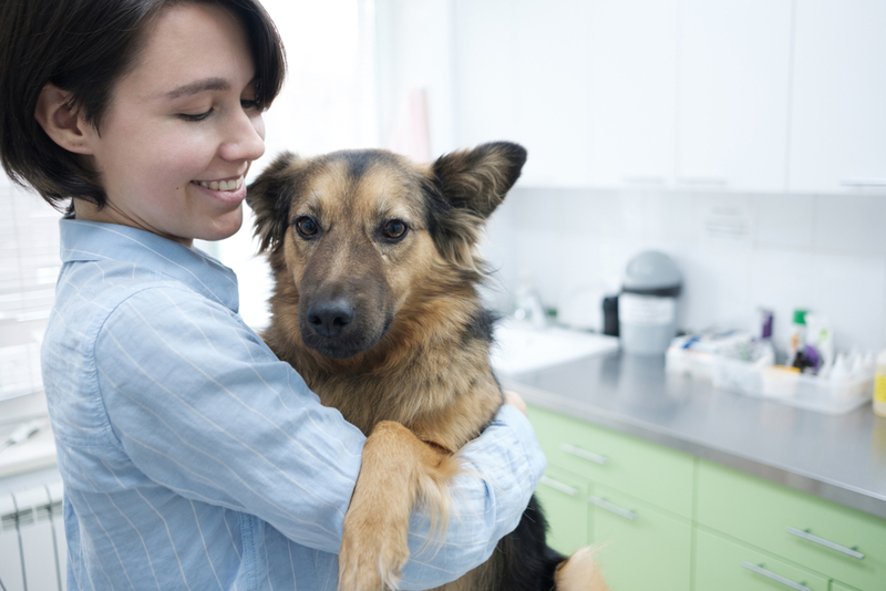 Что такое аденовироз у собак?