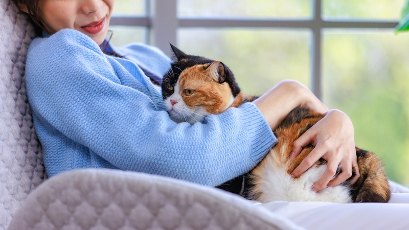 Хозяйка обнимает кошку в квартире