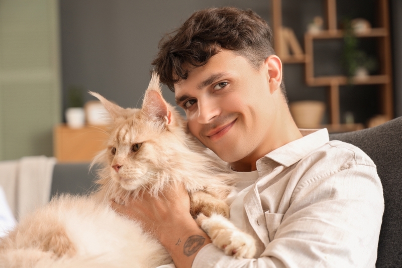 У мейн-куна может появляться болезнь полости рта