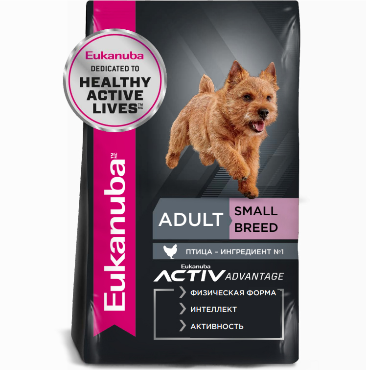 EUKANUBA – отличное питание для мальтипу