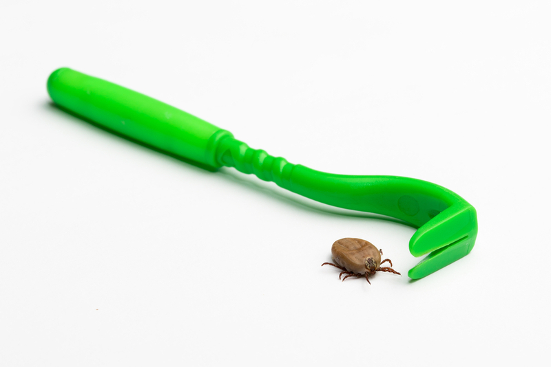 Твистер, помогающий достать клеща у собаки