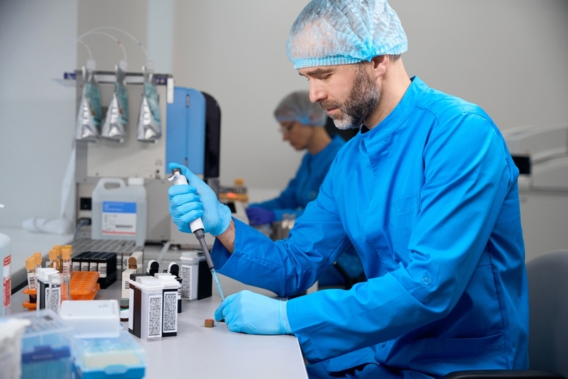 Определить, какая группа крови у кошки, можно в лаборатории