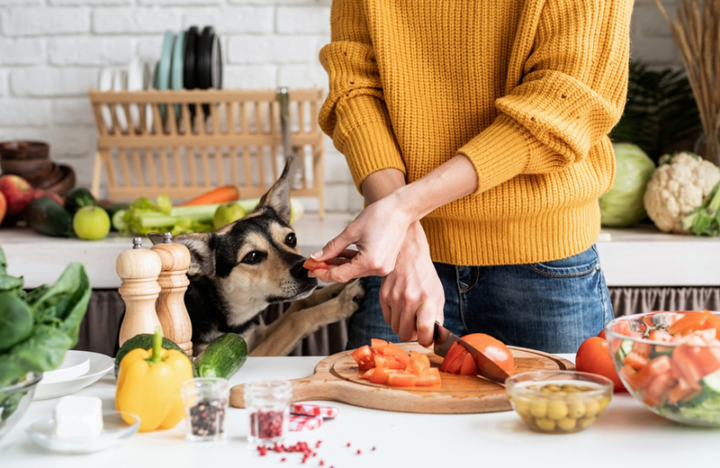 Можно ли давать собакам лук?