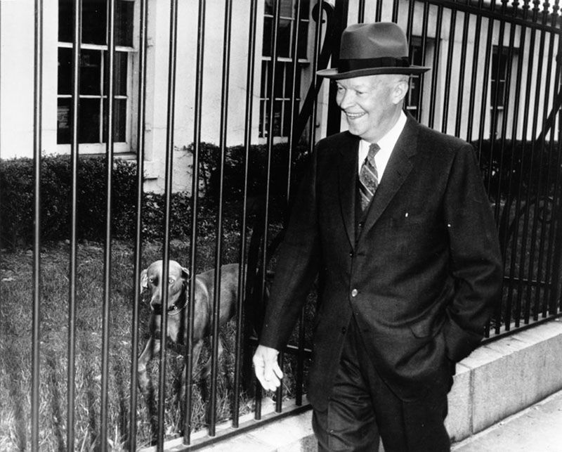 Дуайт Эйзенхауэр с веймаранером