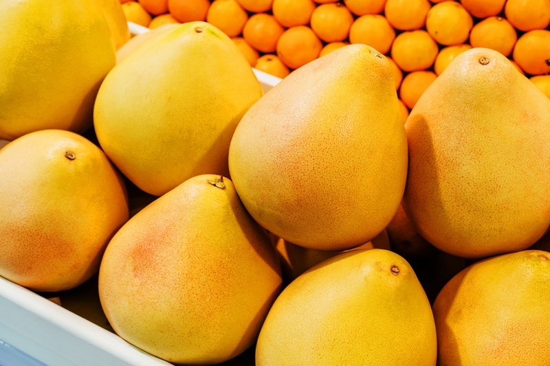 Помело не считается обязательным компонентом рациона собаки