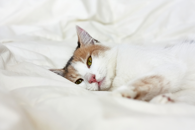 Болезни, похожие на геморрой, чреваты осложнениями при отсутствии лечения