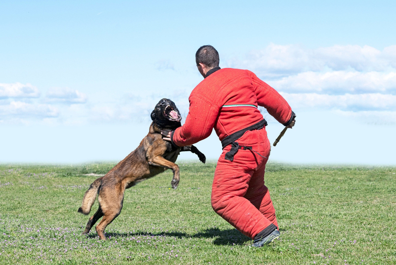 Бельгийский ринг