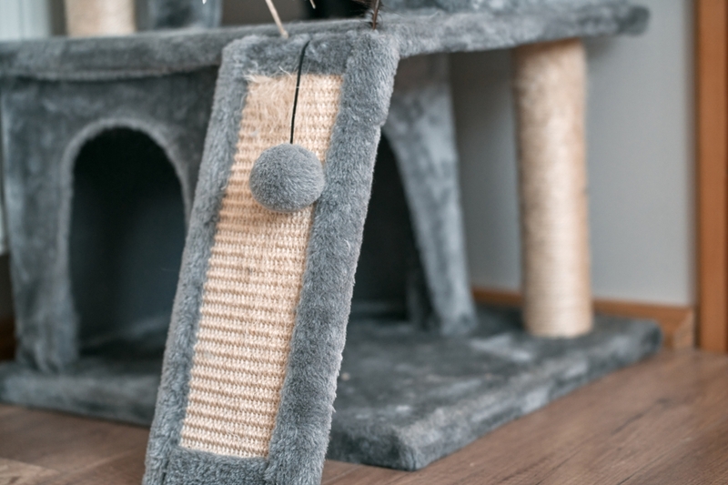 Когтеточки могут представлять собой сложные конструкции