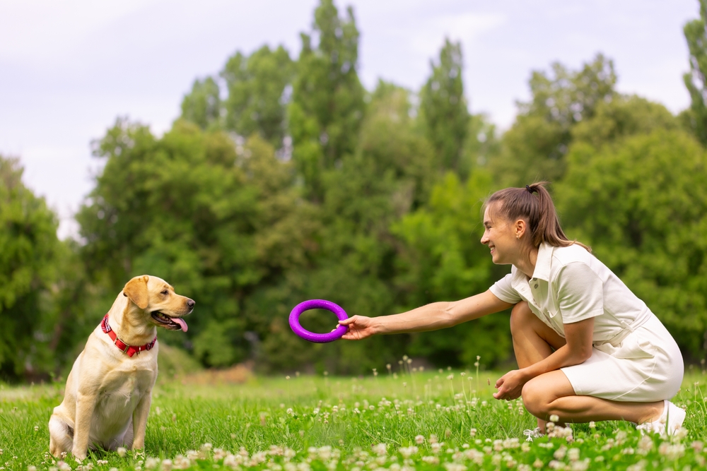 Собака выбирает хозяином самого сдержанного и предсказуемого