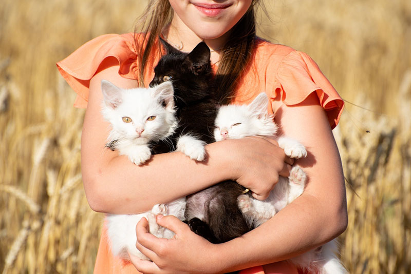 владельцы домашних животных часто находят в них эмоциональную поддержку, а исследования это подтверждают