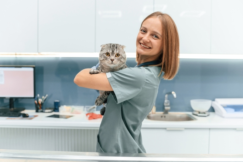 У кошек есть врожденные антитела к другим группам крови