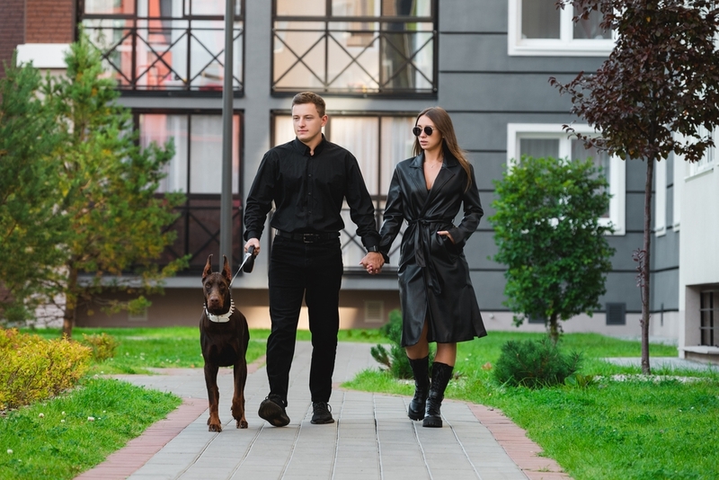 Имена для доберманов-мальчиков могут быть серьезными