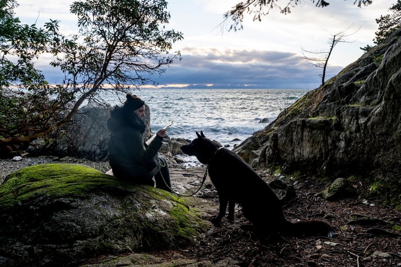 Каким должен быть владелец черной овчарки?