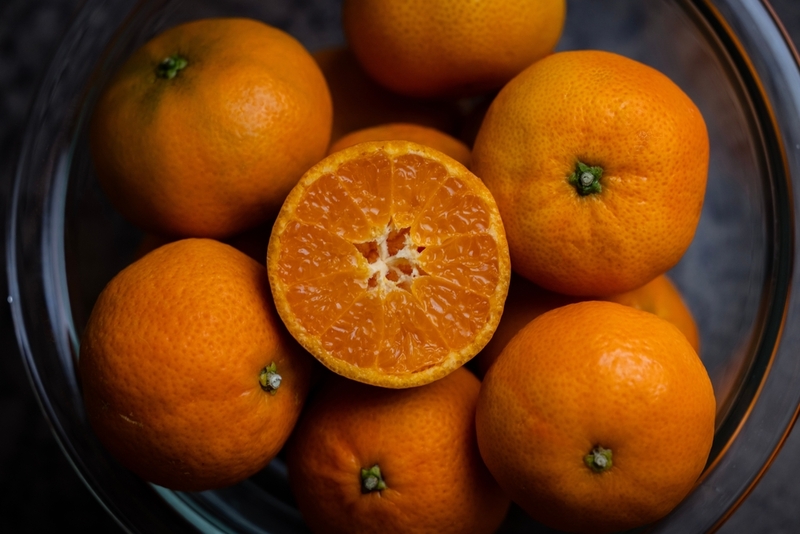 Вредны ли апельсины собакам?