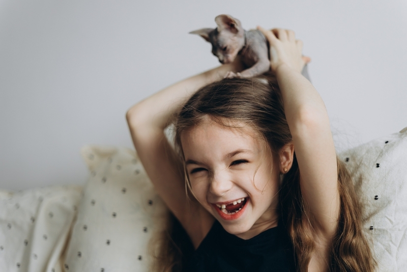 Какие породы, кроме сфинксов, считают условно гипоаллергенными?