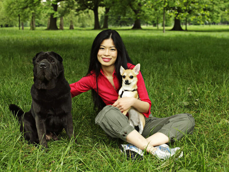 Шарпей Ванессы Мэй