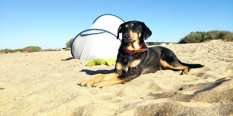 Тереза на пляже, 2020 год