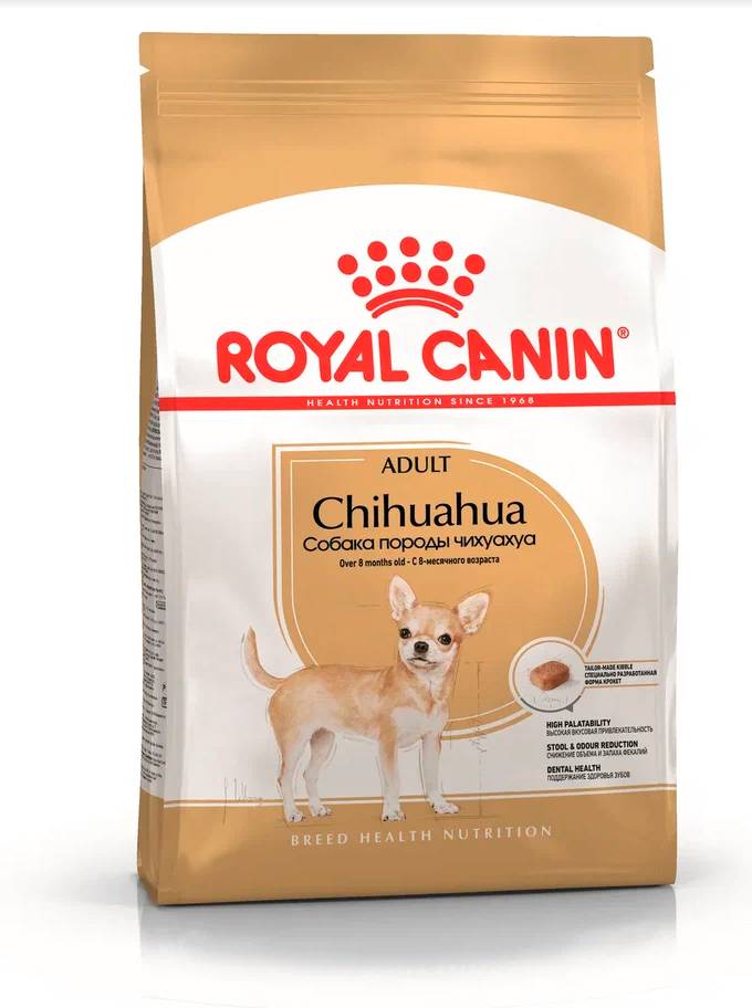 Чем кормить чихуахуа в домашних условиях: взрослую и щенка, что можно  давать, что нельзя из еды