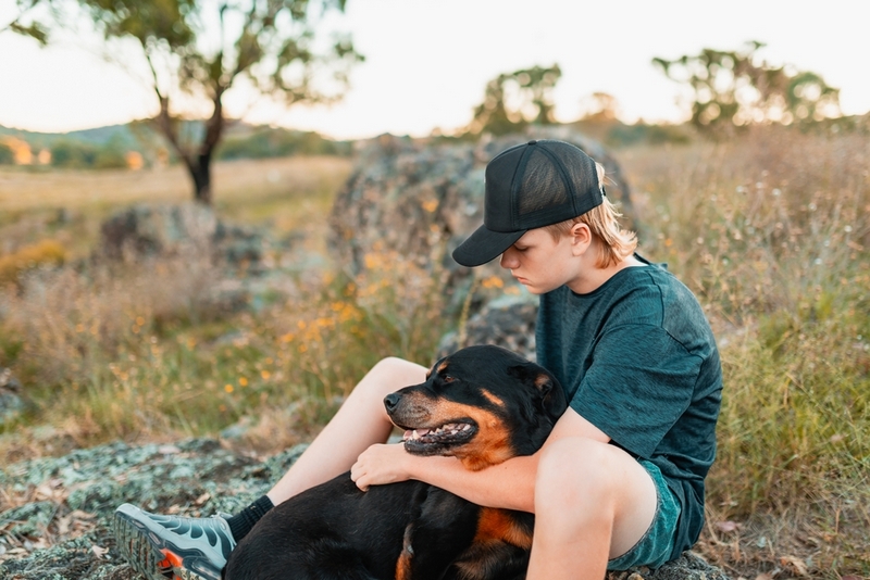 У ротвейлеров есть характерные болезни
