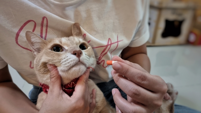 Ятрогенная форма гипотиреоза появляется из-за приема лекарств