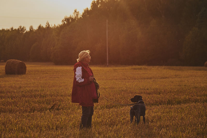 при утрате питомца лучше не советовать хозяину завести нового