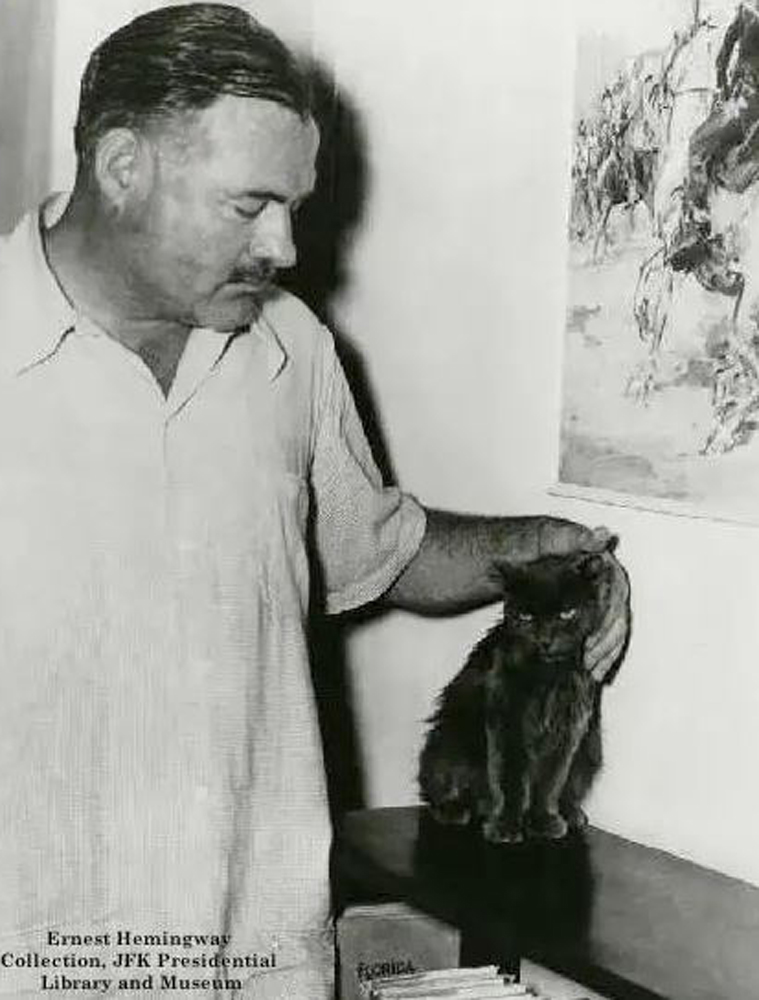 Хэмингуэй и кот-полидакт