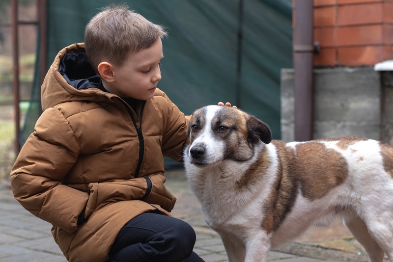 Особую опасность собачий цепень представляет для детей