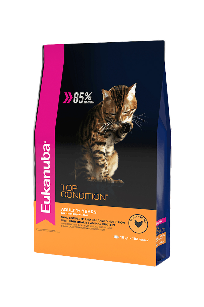 Бенгальскую кошку можно кормить рационом Eukanuba