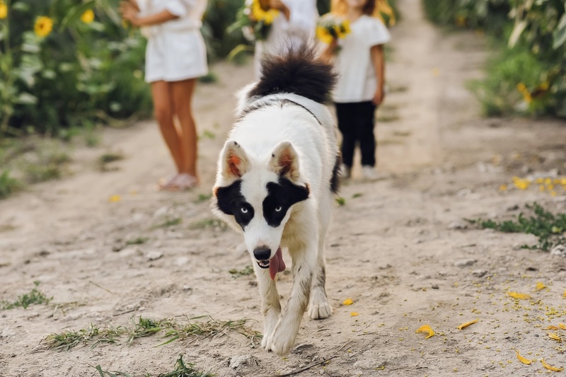 Нужно контролировать, сколько весит лайка