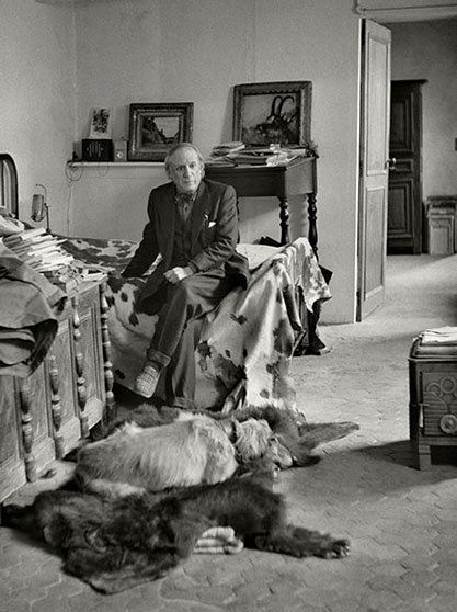 афганская борзая Пабло Пикассо