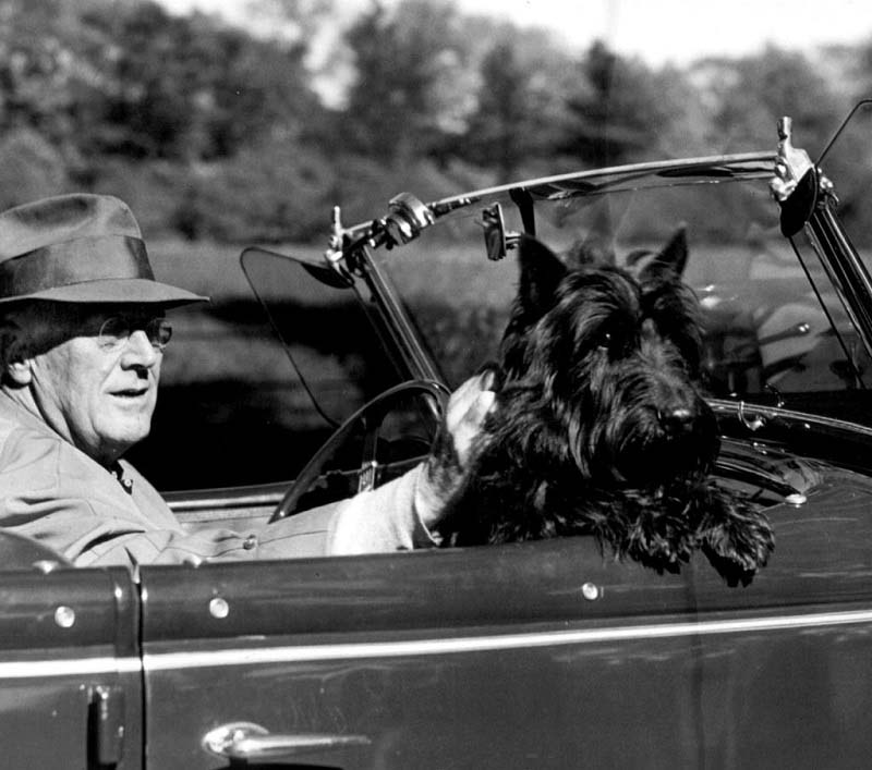 Рузвельт и скотч-терьер Фала