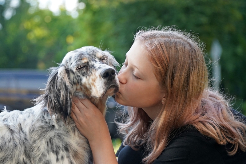 Человек может заразиться от собаки ложным саркоптозом