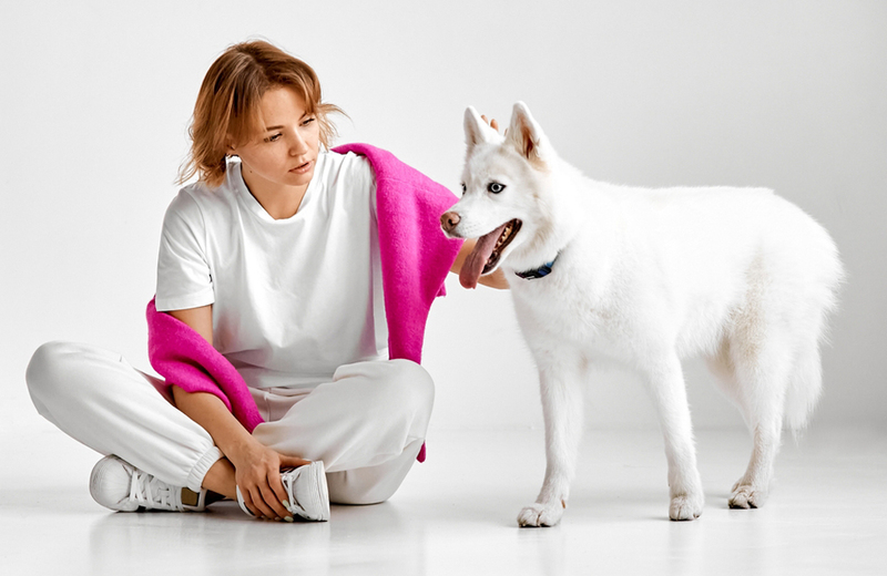 Какой характер у хаски белого окраса?