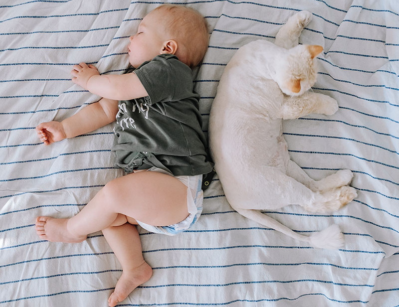 появление ребенка может стать причиной стресса у кошки