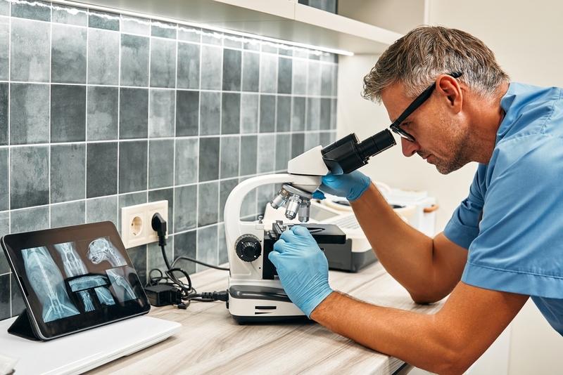 Жидкость из брюшной полости, взятая у кота, исследуется под микроскопом