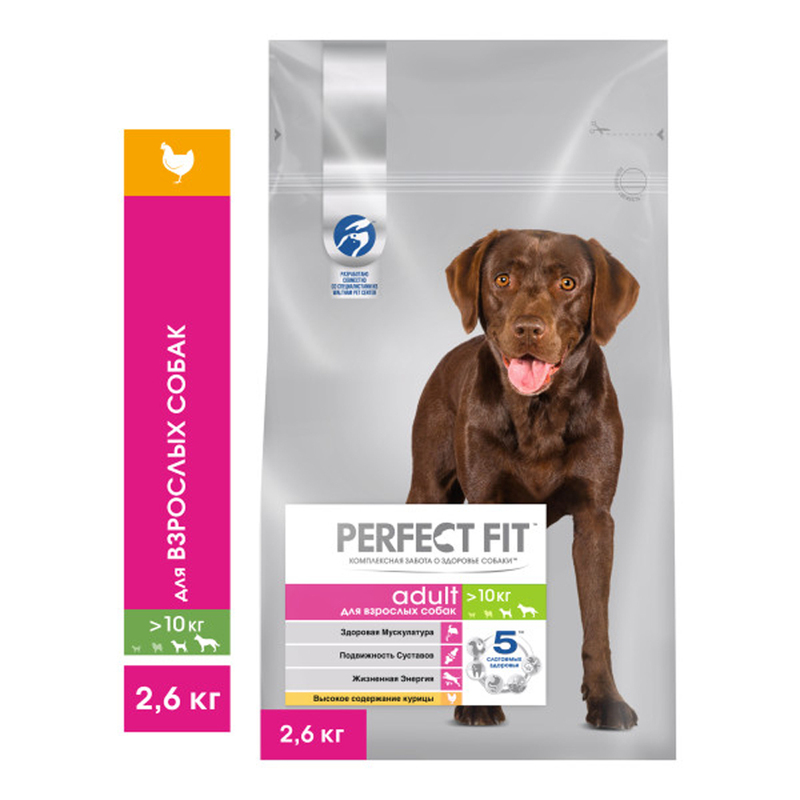 Корги можно кормить рационом PERFECTFIT