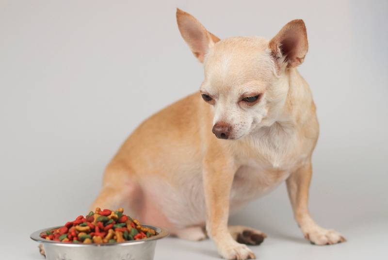 Пурина ветеринарная диета для собак при ожирении
