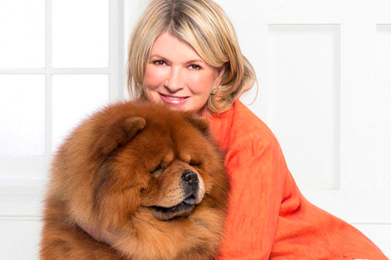 Марта Стюарт с чау-чау