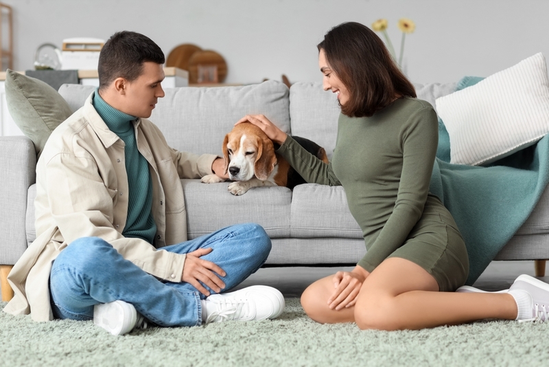 Может ли человек заразиться от собаки сальмонеллезом?