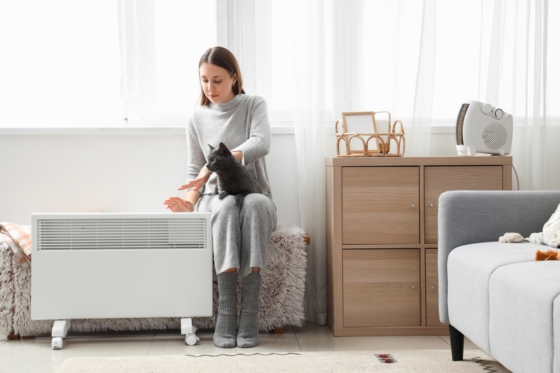 Если кошка замерзла зимой на улице, ее нужно согреть