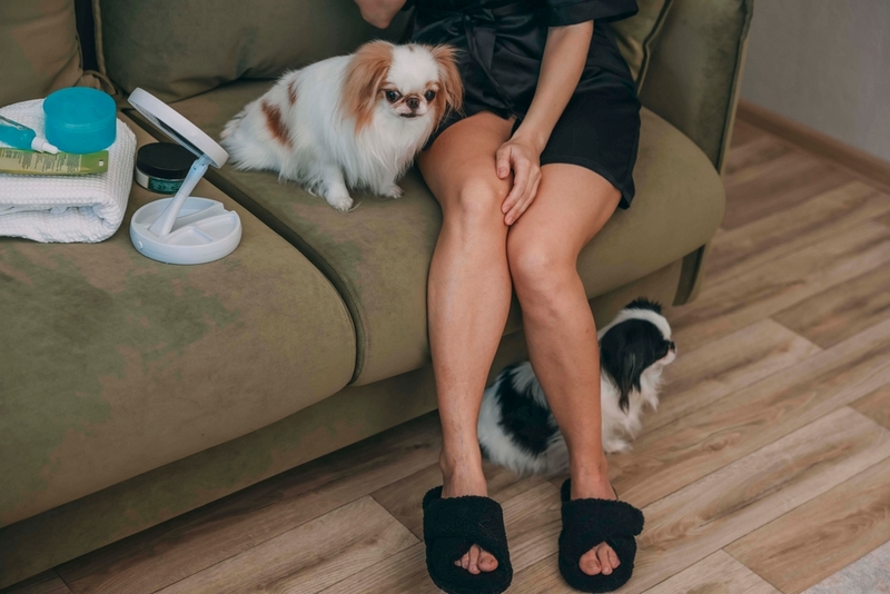 Наличие болезней у японского хина влияет на его продолжительность жизни