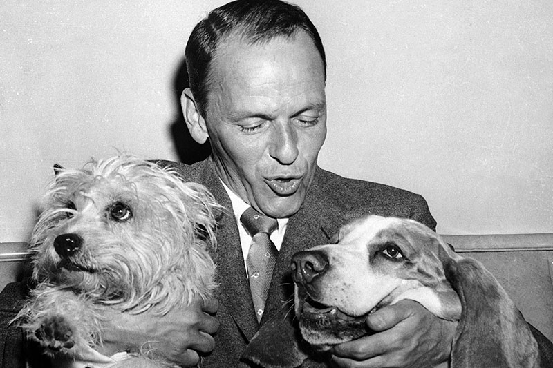 Фрэнк Синатра с белым вест-хайленд-уайт-терьер