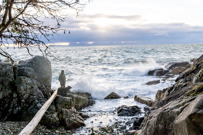 Прогулка с черной немецкой овчаркой у океана
