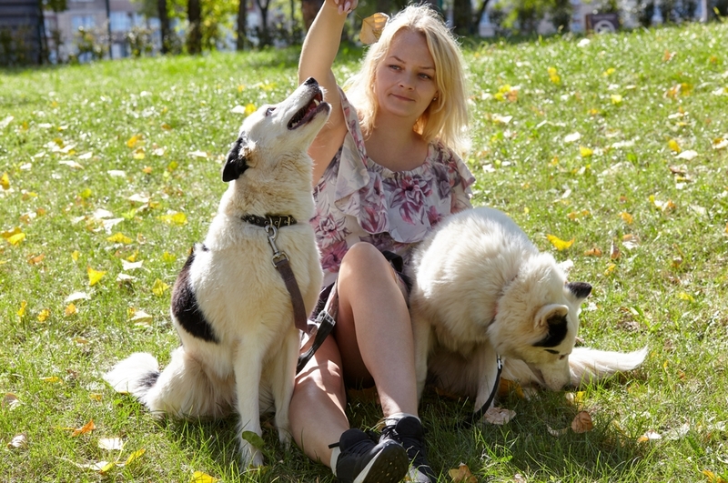 Кастрация влияет на то, сколько весит лайка