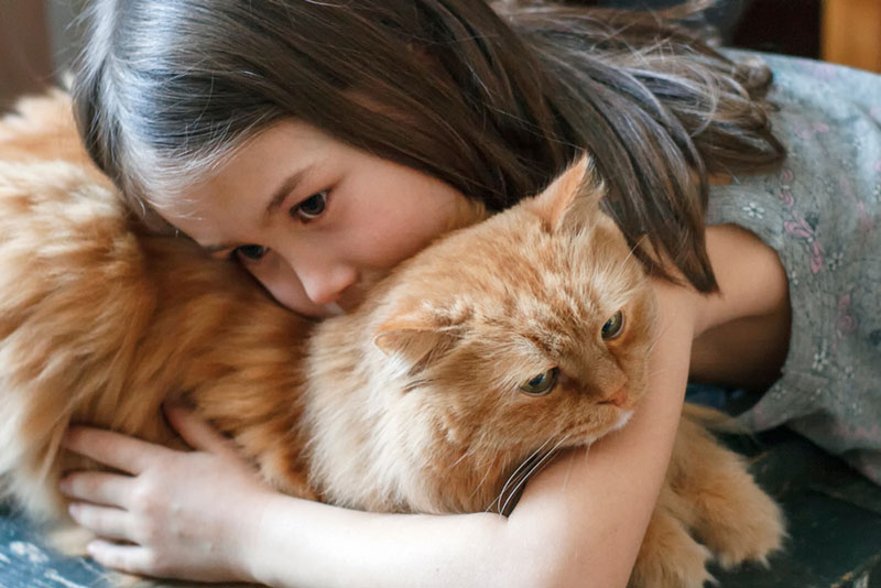 у каждой кошки уникальный секрет, из-за которого она может вкусно пахнуть