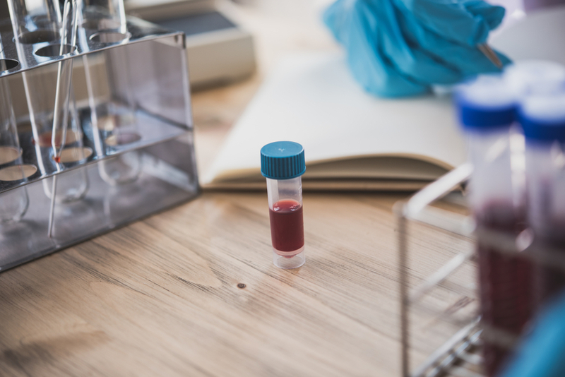 Анализ на группу крови собаки в лаборатории