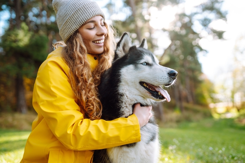 В чем отличие характера хаски и маламута?