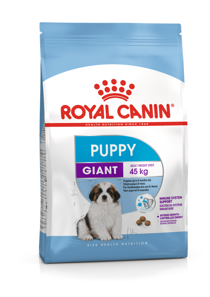 Кане-корсо можно кормить рационом ROYAL CANIN