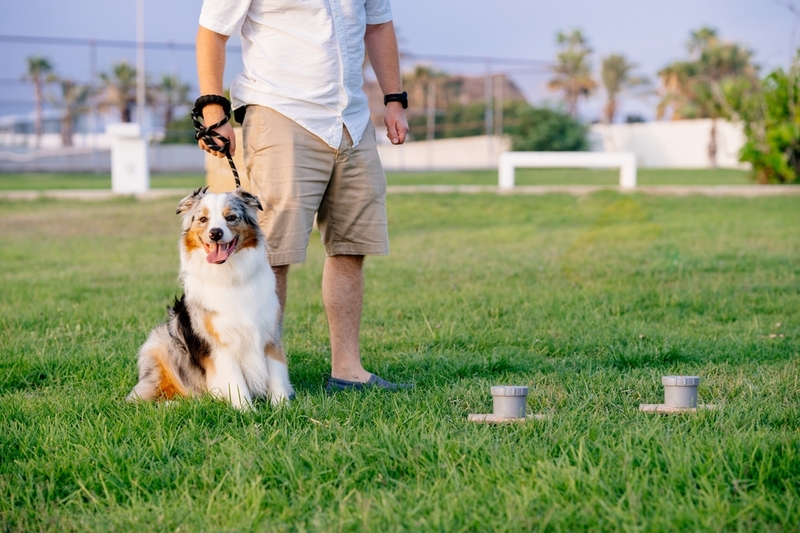 По мере тренировок по ноузворку задания усложняют