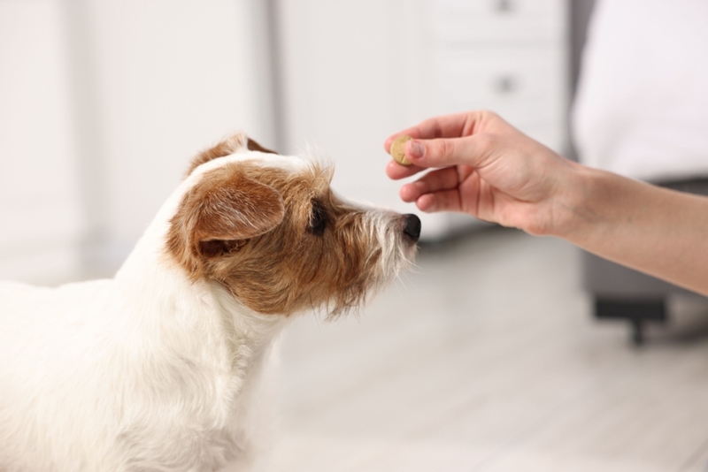 Лечение синдрома Воблера может включать прием лекарств